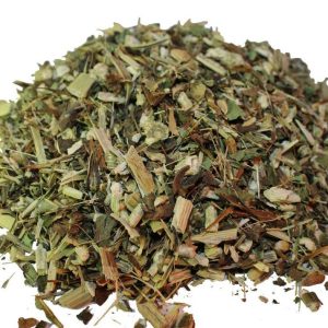 Echinacea (Echinacea purpurea)