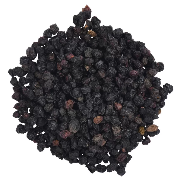 Elderberries (Sambucus nigra)