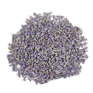 Lavender (Lavandula x intermedia)