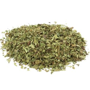 Lungwort (Pulmonaria officinalis)