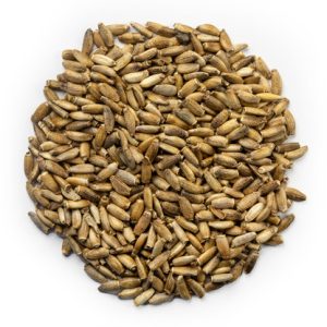 Milk Thistle Seeds (Silybum Marianum)