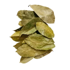 Soursop Leaves (Annona muricata)