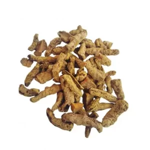 Turmeric Root (Curcuma longa)
