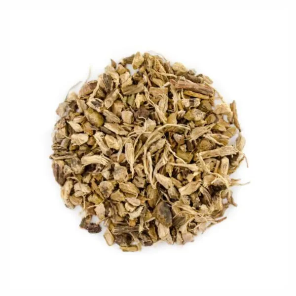 Yellow Dock Root (Rumex crispus)