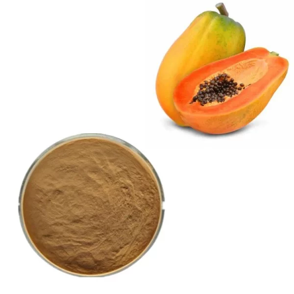 Papaya Seed, Powder (Carica papaya)