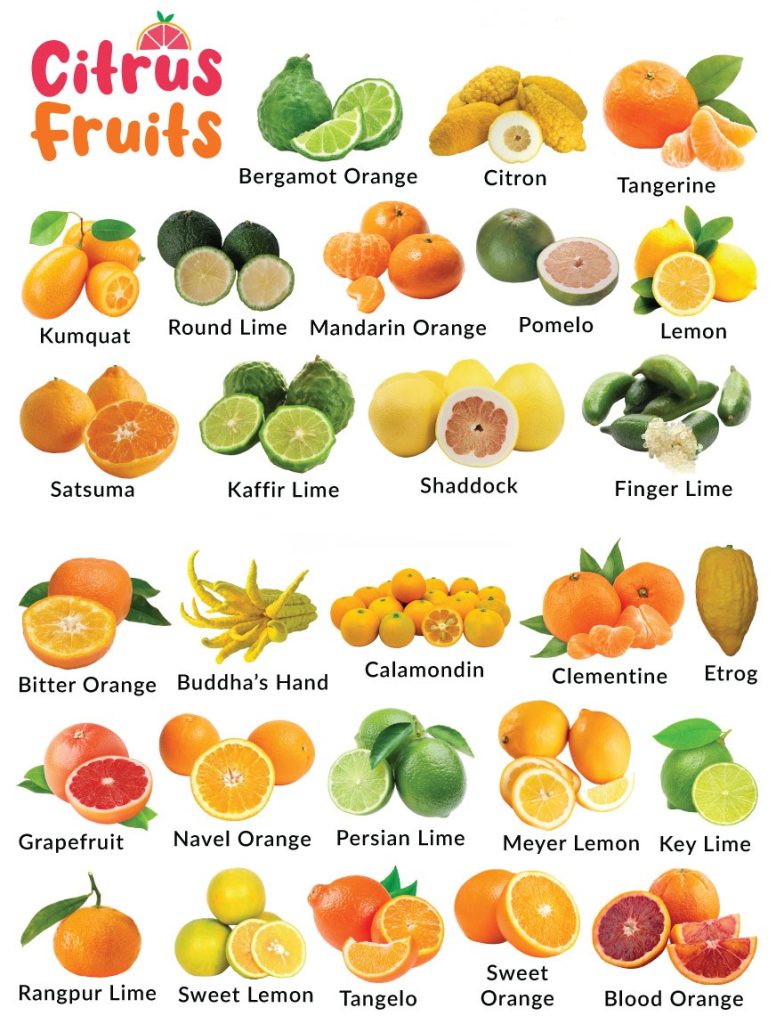 Astringent Fruits