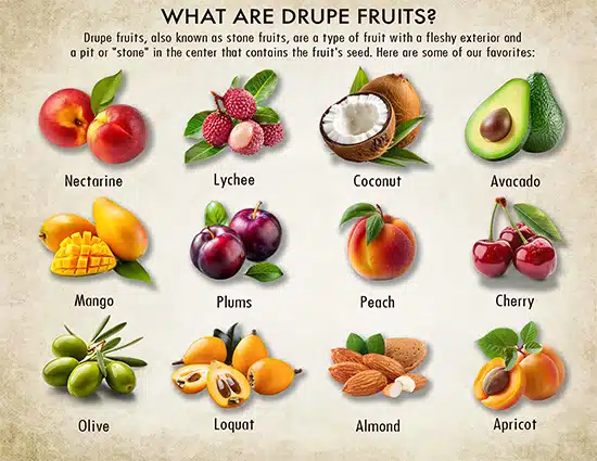 Drupe Fruits